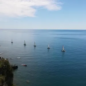 Alex Manarola